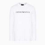 EMPORIO ARMANI EA7 MEN PIMA-JERSEY JUMPER WITH PRINTED LOGO WHITE - Image 4