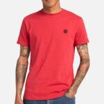 TIMBERLAND DUNSTAN RIVER SHORT SLEEVE TEE SLIM FIT YOLK AMERICAN BEAUTY
